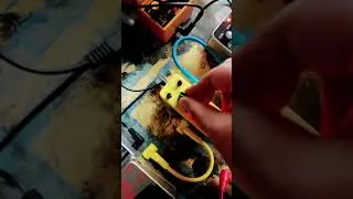 Donner &sbquo;Yellow Fall&lsquo; Delay in action test #noise #electrosound #onepiece