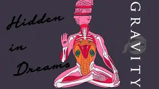 Hidden in Dreams &ndash; Gravity PL (Official Music Video)