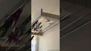 J&aacute; viu esse VARAL PERFEITO para ap&ecirc; pequeno? 😊 #lavanderia