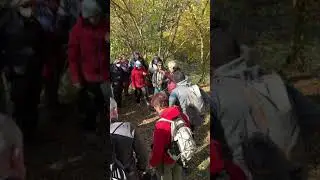 DOCUMENTI FILMATI DURANTE L'ESCURSIONE AL LAGO DI LOPPIO -  CAPITOLO 3