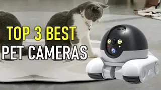✅Best Pet Cameras to Watch, Talk & Play with Your Pets Anytime