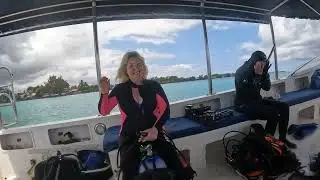 Close reef diving on Eden Garden and Pereybere Aquarium with photographers