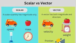 what is scalar & vector ?