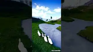 #music #asmr#satisfying #anines #animation#relax #petshub#anime #relaxing#love#trending#photography
