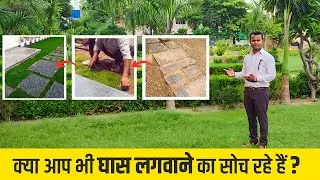 Best Grass For Home Lawn 🌿 | How to Grow Grass in Lawn | Hindi Video | @AshiyanaVlogs