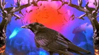 INTRO - MDMA (Witchcraft)