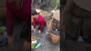 Xúc tép rong ngoài sông
