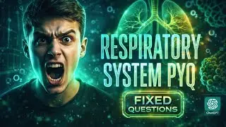 PYQ of Respiratory system