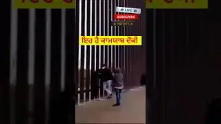 USA Donkey I india to usa donkey I #shorts
