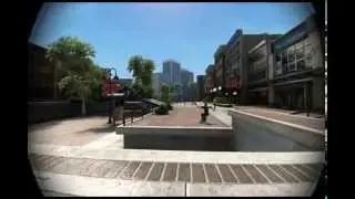 Delusional Skate 3 Team