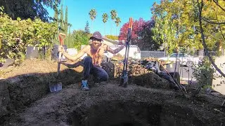 Fall 2025 Planting Plants For Winter Season #garden