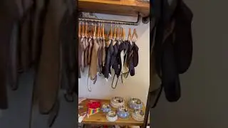 Taking my sausage dog clothes shopping #dachshund #dogs #shopping #shorts