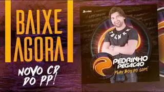 Pedrinho Pegação - CD promocional  Playboy do Som (Junho 2017)