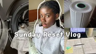 Sunday Reset vlog 🧺 cleaning, air purifier unbox, studying, skincare 