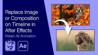 Replace Image or Composition on Timeline in After Effects (Retain All Animation)