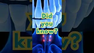 ENT Facts [Did you know?]  #didyouknowfacts #earanatomy  #facts #headandneckanatomy  #maxillofacial