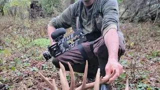 Big bucks love Buckthorn