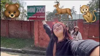 Miao Mini Zoo Rupees only 20/&ndash;