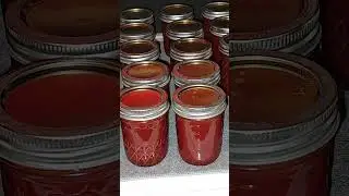 21 half pint jars of home made ketchup made from fresh garden  tomatoes