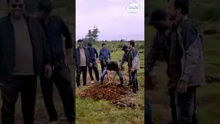 Planting Trees for a Greener India 🌳 | ESDS CSR Initiative