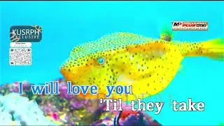Till They Take My Heart Away - Claire Marlow || Megapro plus midi karaoke 