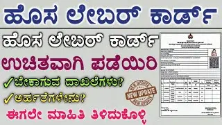Free Labour Card | New Labour Card | Labour Card Free Application