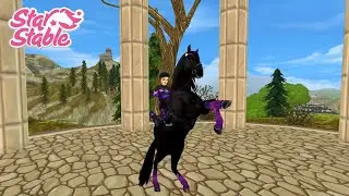 Darkmagic / Pferdekauf / SSO
