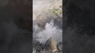 Deadly Boiling Lake Danger #BoilingLake #DeadlyNature#Viral#NatureDanger#EarthsSecrets #VolcanoFacts