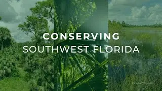 Conserving Southwest Florida