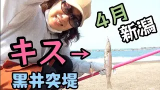 2022.4.19【新潟県黒井突堤の砂浜でキス釣り】朝10:30のんびりスタート