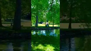 El alma florece en contacto con la naturaleza.La paz nace entre &aacute;rboles y cielo... 🍀🍀🍃🌻🌲🌹🪷