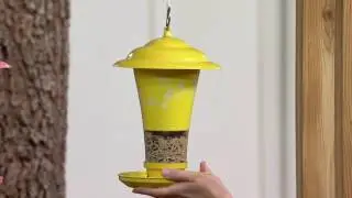 Effortless Birdfeeder with Easy Sliding Refill System on QVC