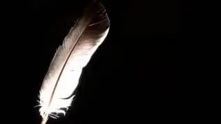 Binaural ASMR Sound Slice: Softly Touching Plastic Wrap Around Your Ears