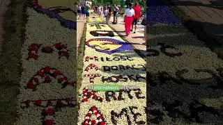🌸 Polish tradition on the UNESCO Heritage List - Flower Carpets for Corpus Christi in Spycimierz 🌸