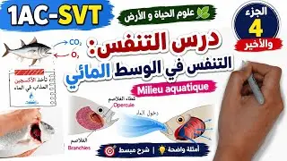 درس التنفس : المستوى الاولى اعدادي الجزء 4 و الأخير | La respiration 1AC SVT