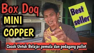 Box oven DOQ (anakan puyuh)Mini Copper ||Sangat cocok bagi peternak pemula&PedagangPullet