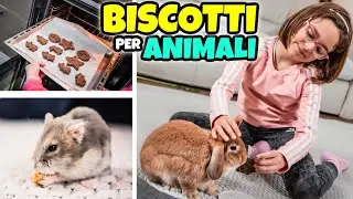 BISCOTTI PER I NOSTRI ANIMALI: Ricette Facili per Conigli e Criceti