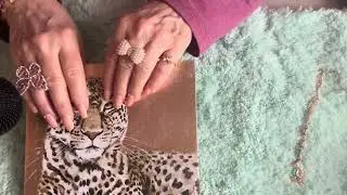 ASMR A SENSORY LULLABY of slow soothing sounds/scratching for sleep.Best with headphones. No Talking
