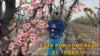QUIERES SABER CUALES SON LOS PRIMEROS TRABAJOS  EN ESTADOS UNIDOS  QUE SE APROXIMAN??