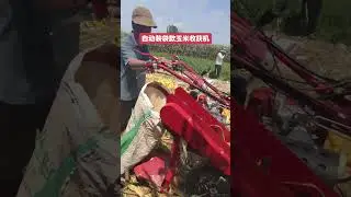Single person operation diesel corn harvester