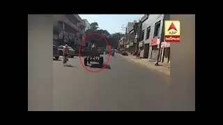 Camel Run With Cart On Road In Jamnagar