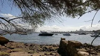 MY WALK ATHOL BEACH ~ WHITING BEACH SYDNEY AUSTRALIA 4K