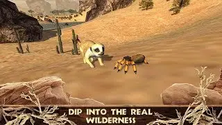 Meerkat Simulator - Wild African Life Game (MyPocketAnimals) - Android Gameplay #1 | Dishoomgameplay