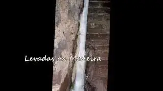Levadas Madeirenses / Filme de Luz Henriques
