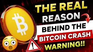 🚨 The Real Reason Behind The Continues CRYPTO CRASH | Bitcoin Next Move? | Bitcoin News 