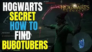 Spot Removal Walkthrough | Find Bubotubers - Hogwarts Legacy