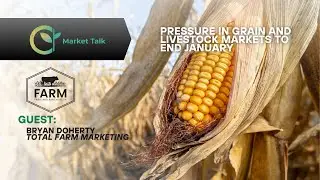 Pressure in Grain and Livestock Markets to End January