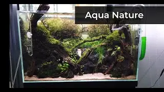 Aqua Nature Aquascape Paludarium ,terrariums shop, Kuchai Lama