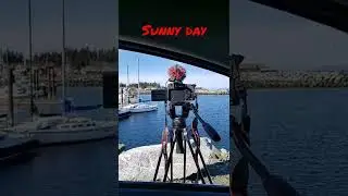Lots of action at French Creek Marina