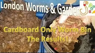 Worm Bin Experiment Cardboard Only Results